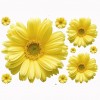 Gold Chrysanthemum Flower Wall Sticker